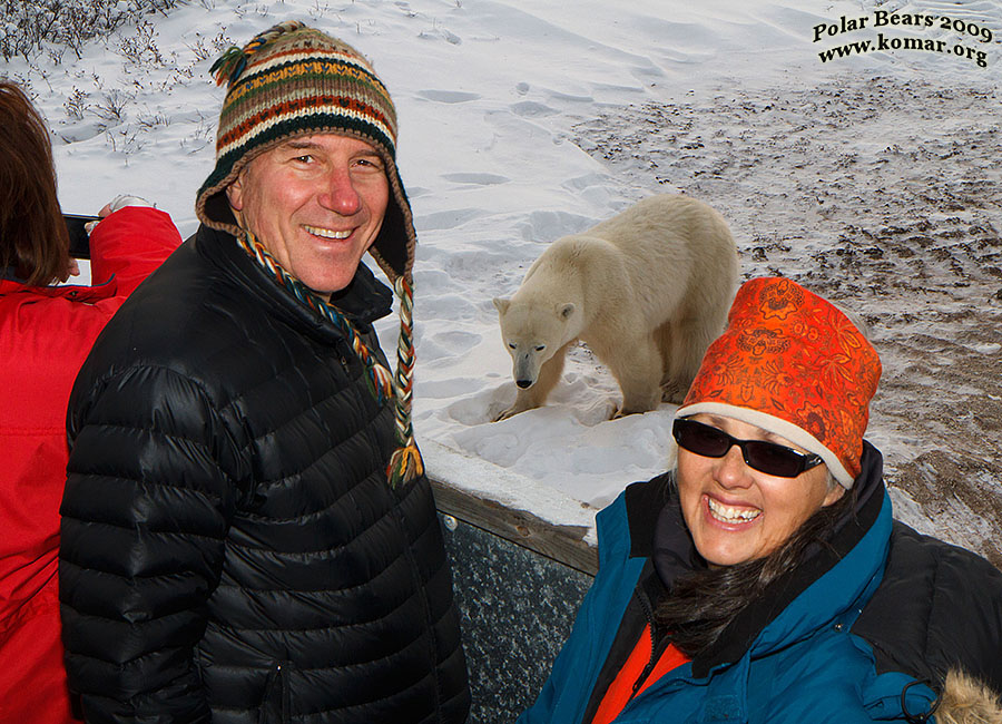 churchill polar bear tundra lodge n4