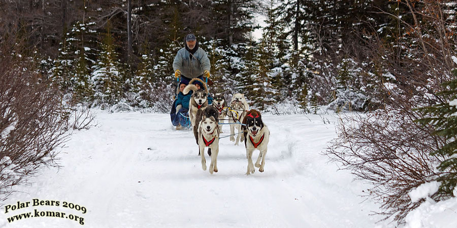 churchill dog sledding linda jon