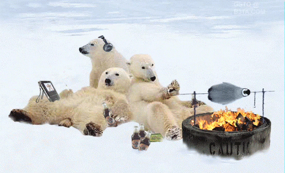 http://www.komar.org/faq/churchill_polar_bear_tours/other-animals-fun-stuff/Polar-Bear-BBQ-Penguin.gif