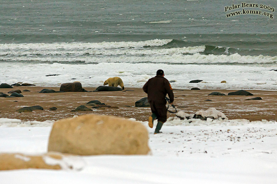 churchill polar bear jail