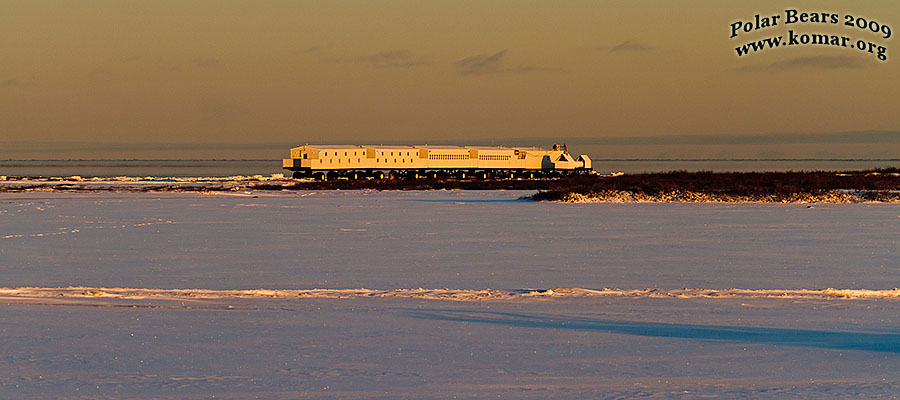 churchill polar bear tundra lodge morning light