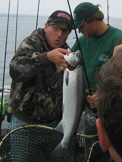 alaska silver salmon 1
