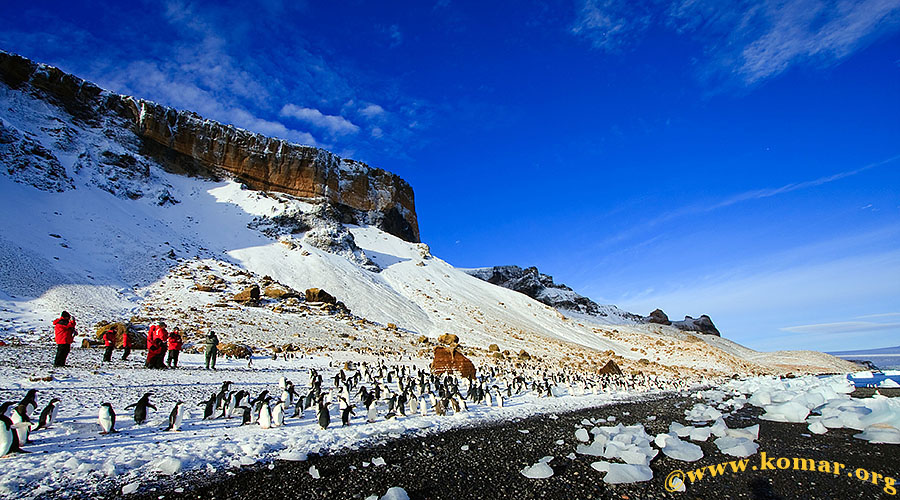 antarctica Brown Bluff a5