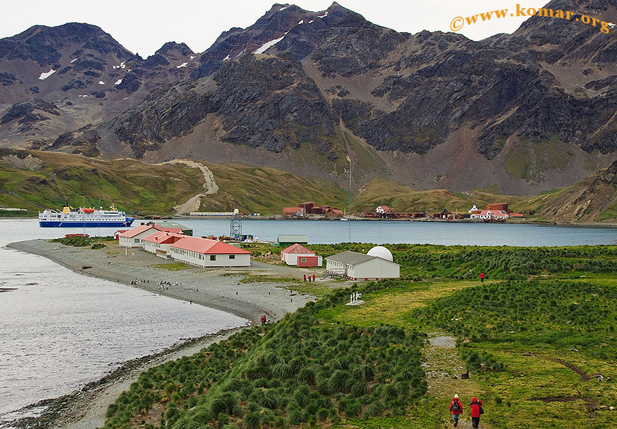 south georgia Grytviken 3