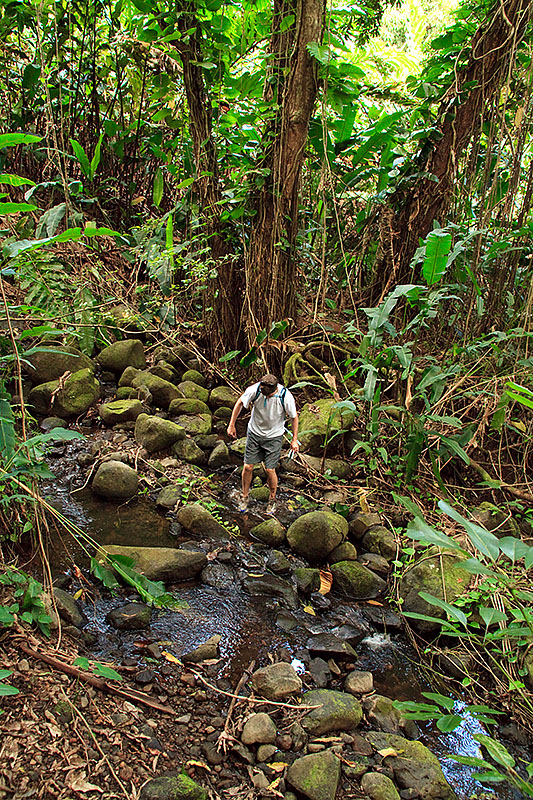 maunawili trail hawaii h