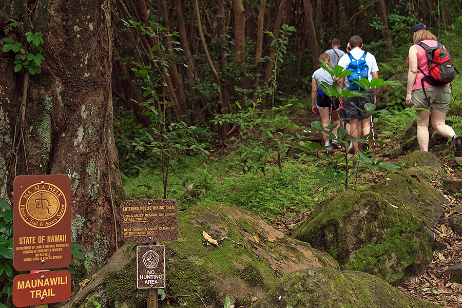 maunawili trail hawaii p