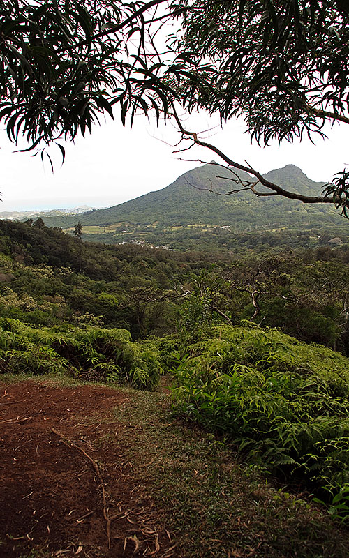 maunawili trail hawaii r