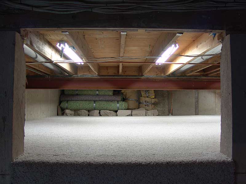 basement carpet n