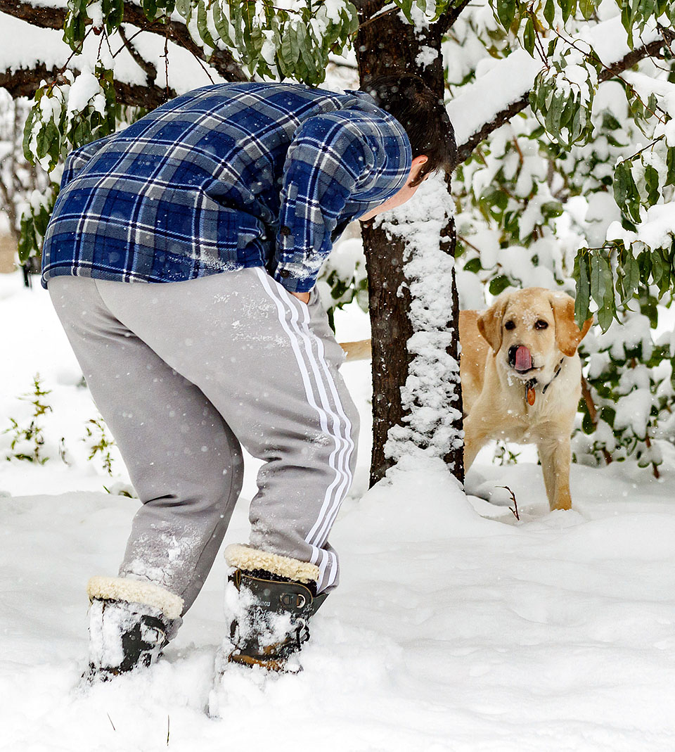 boulder guide dog puppy for blind snow a0