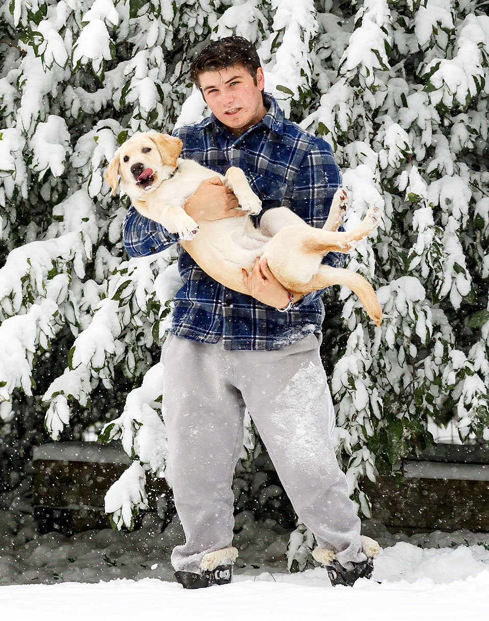 boulder guide dog puppy for blind snow a1