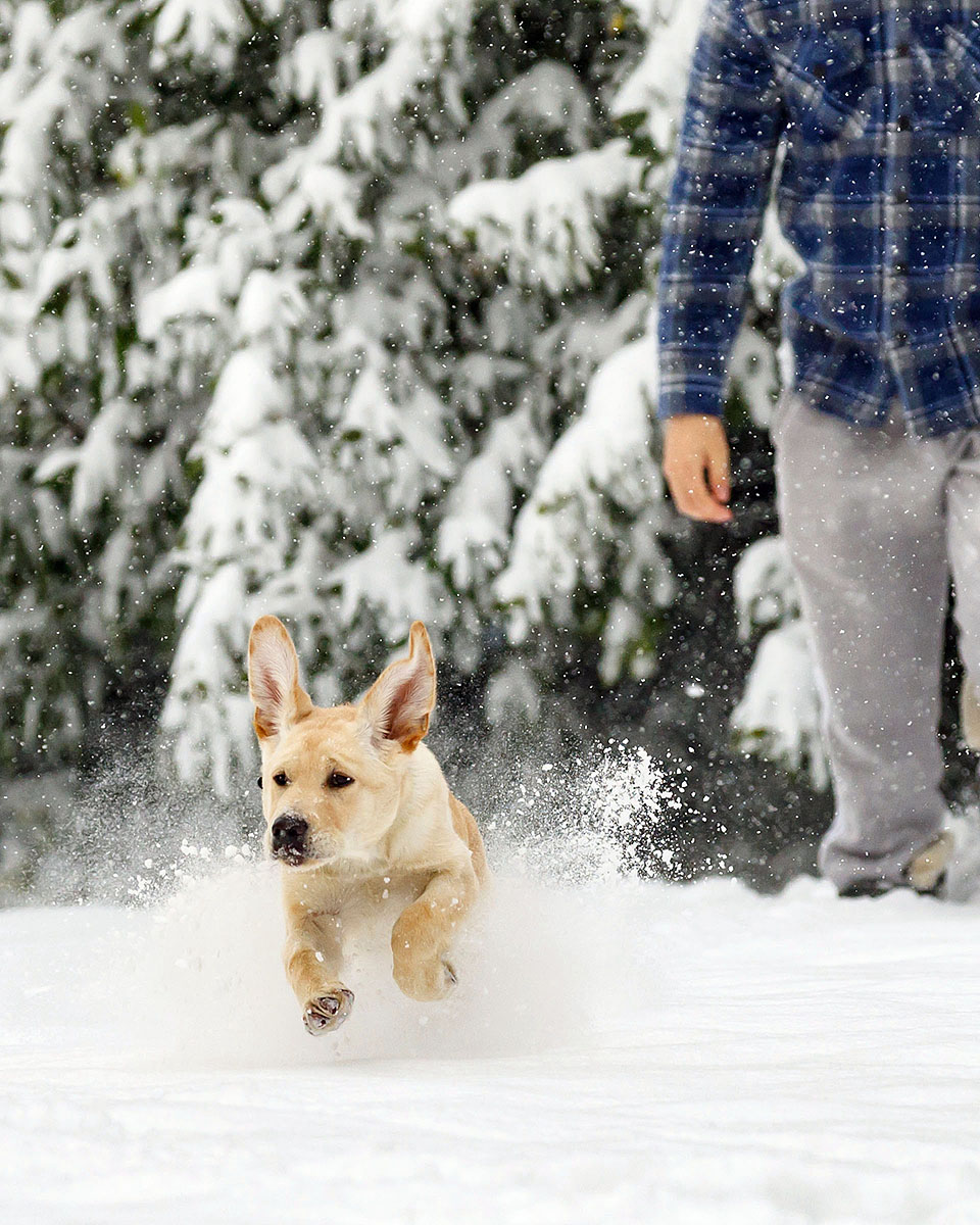 Bliss having fun in snow