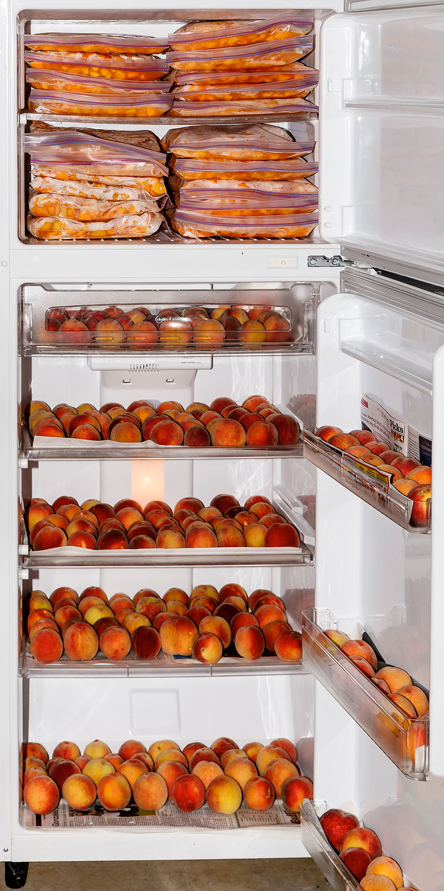 peaches in fridge freezer