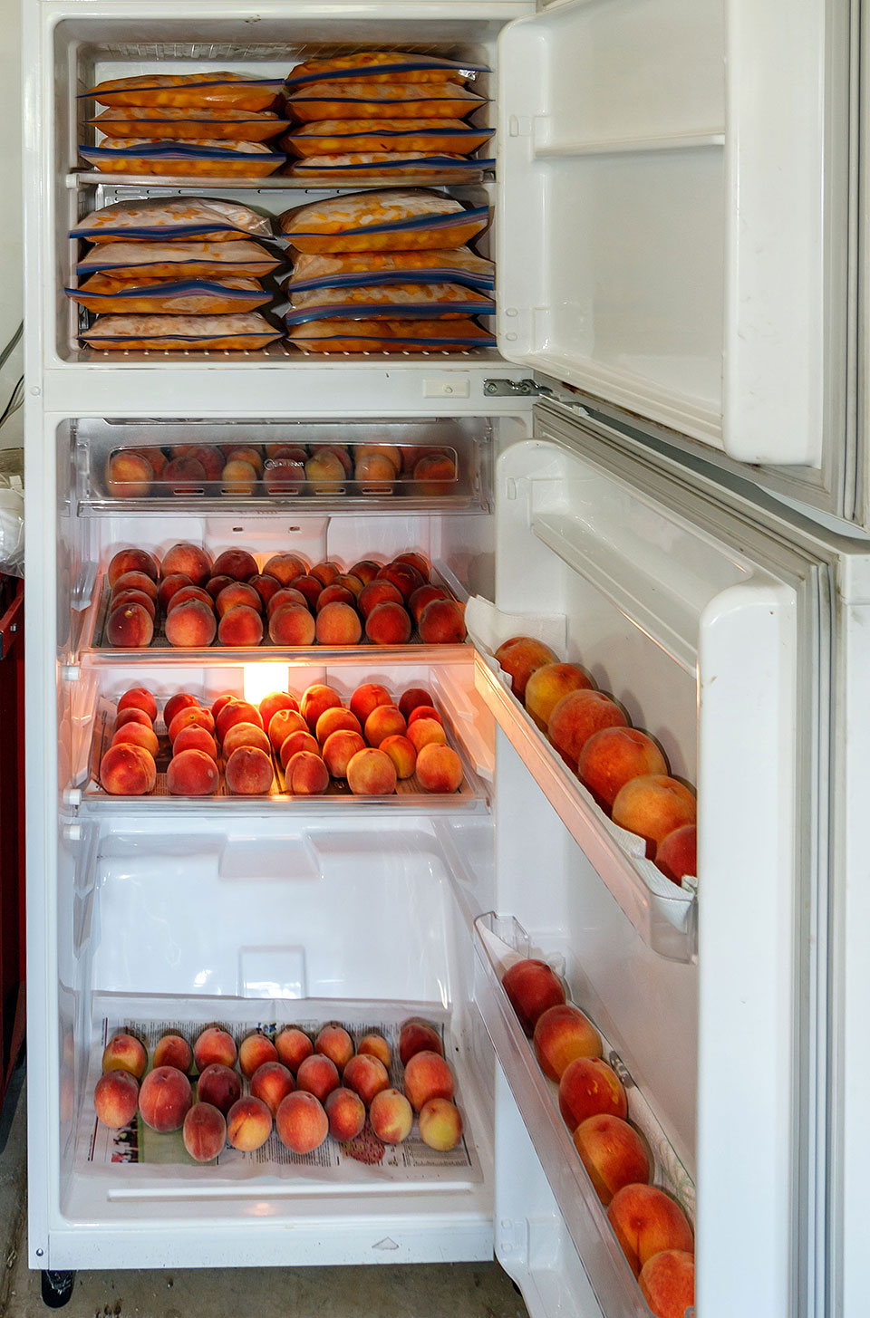 peach tree 2018 harvest freezer