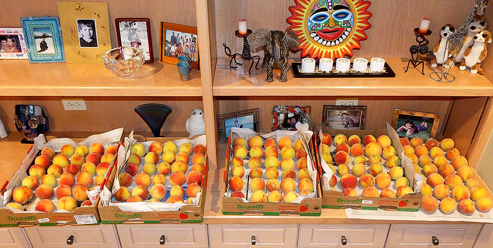 peach tree 2025 harvest counter