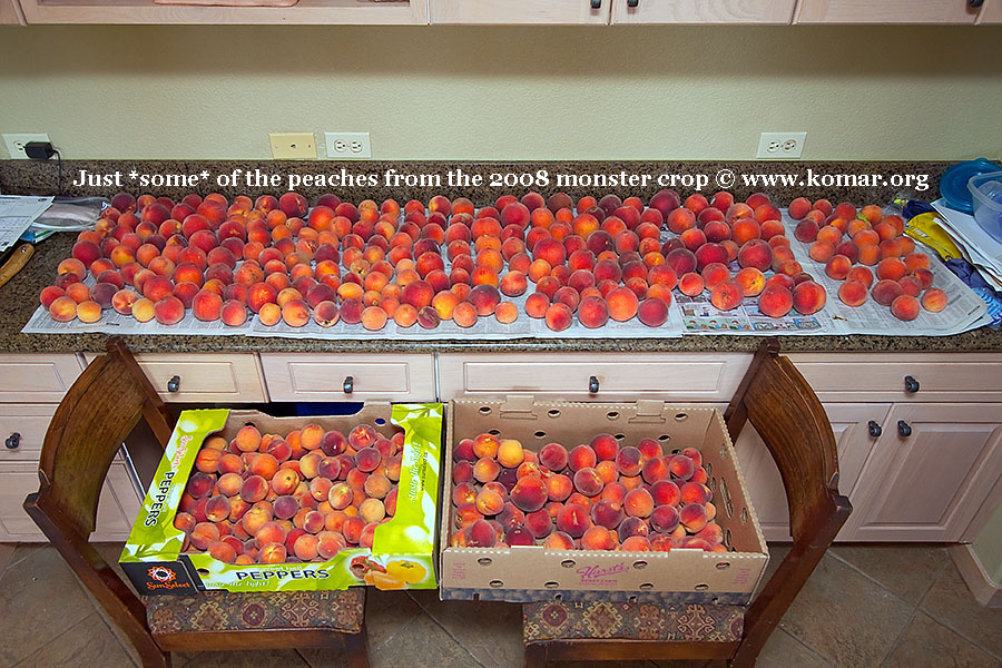 peach picked 3497