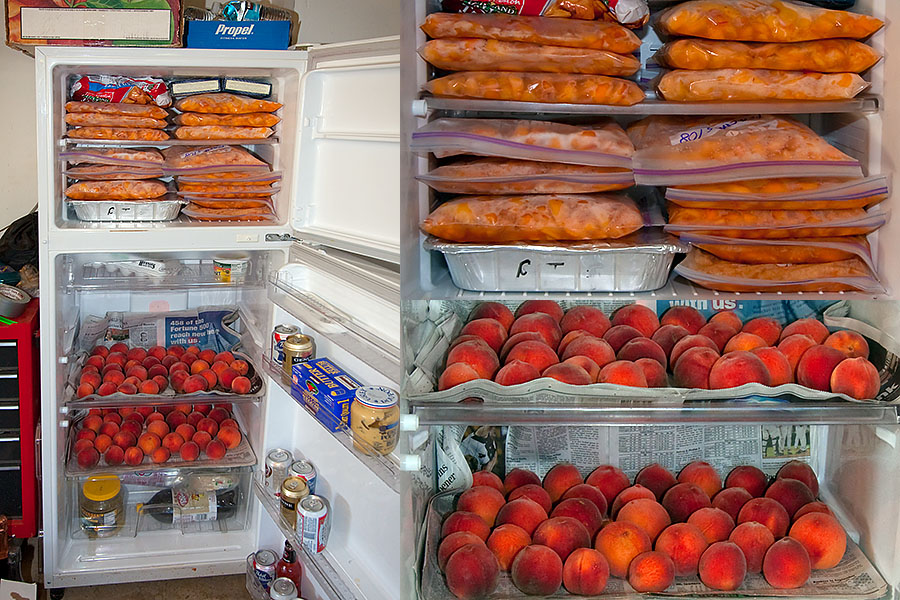 peaches in fridge