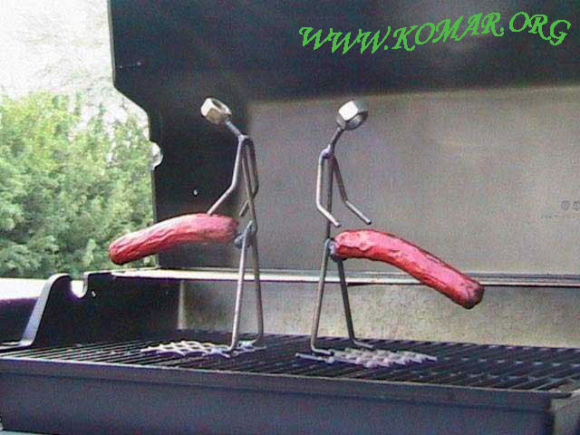 Hot Dog Cooker