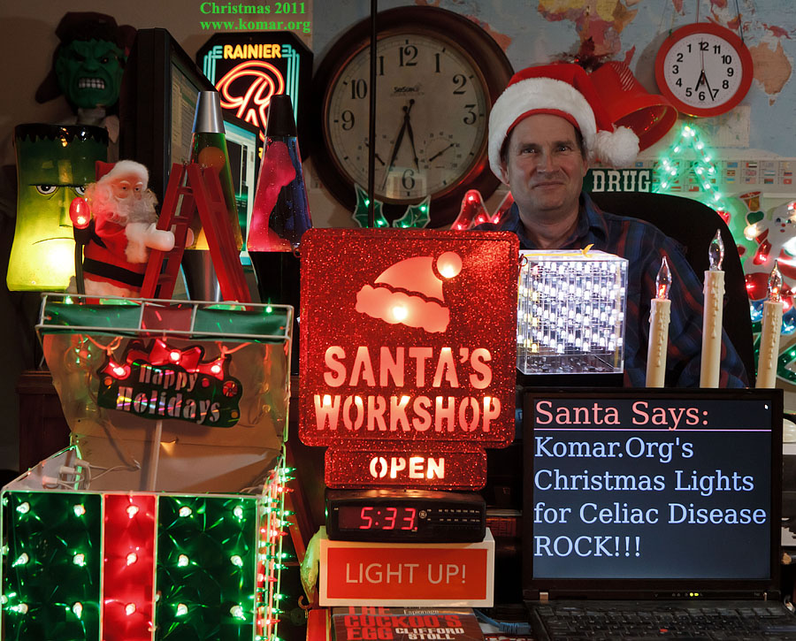 christmas lights santa workshop