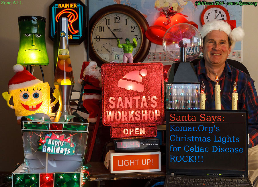 Christmas 2014 zones santa workshop