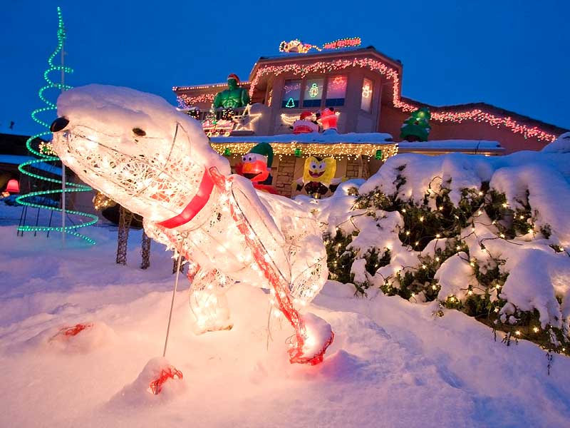 christmas skiing bear