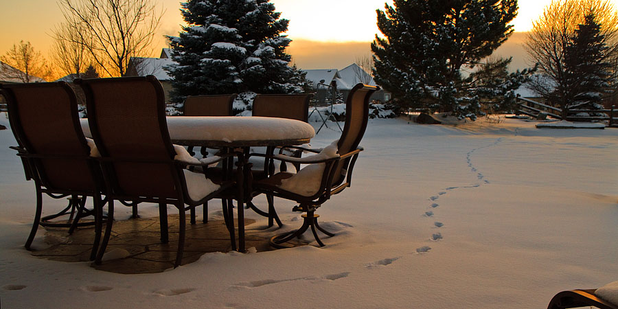 christmas snow tracks