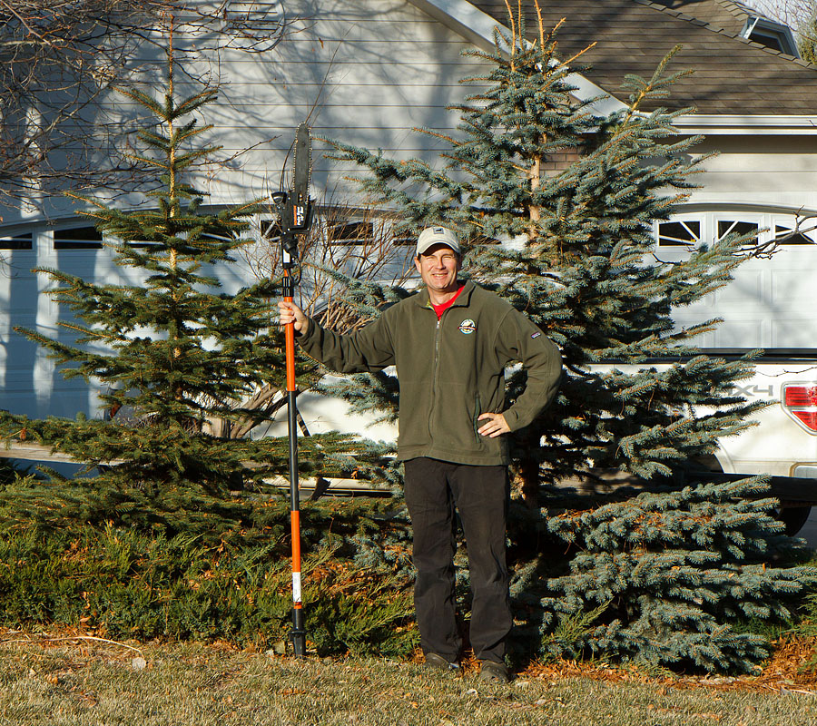 cut christmas tree before