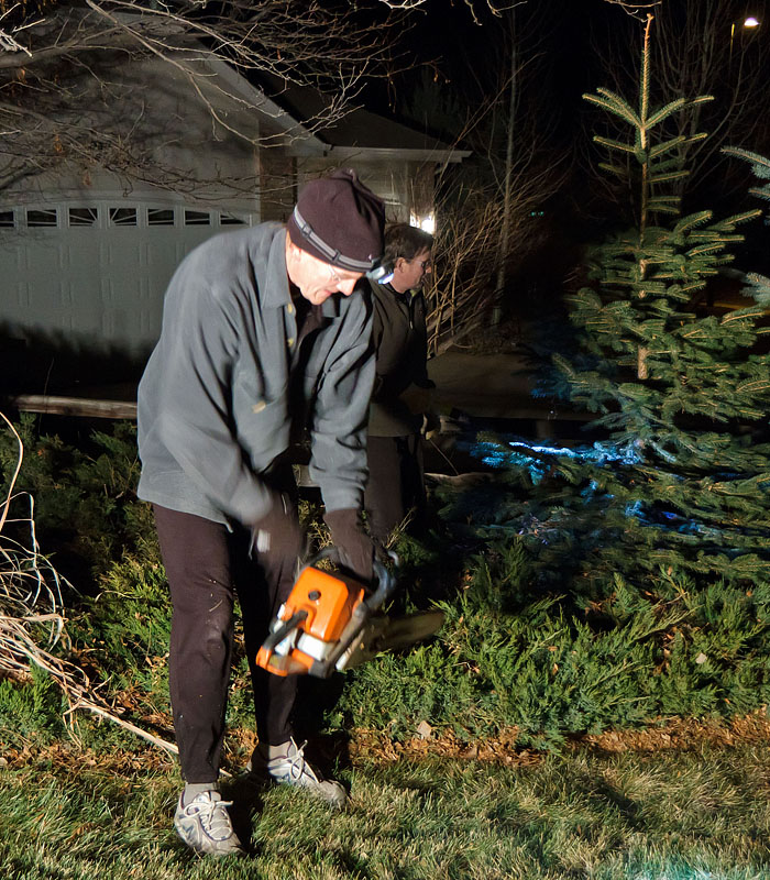 cut christmas tree chainsaw