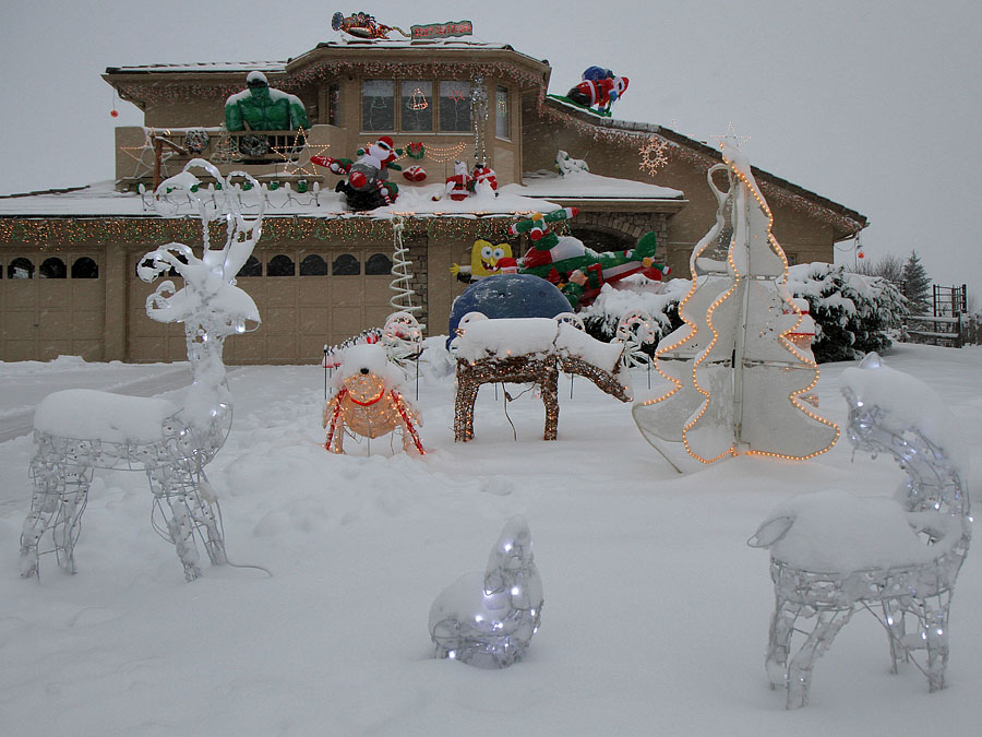 christmas reindeer family