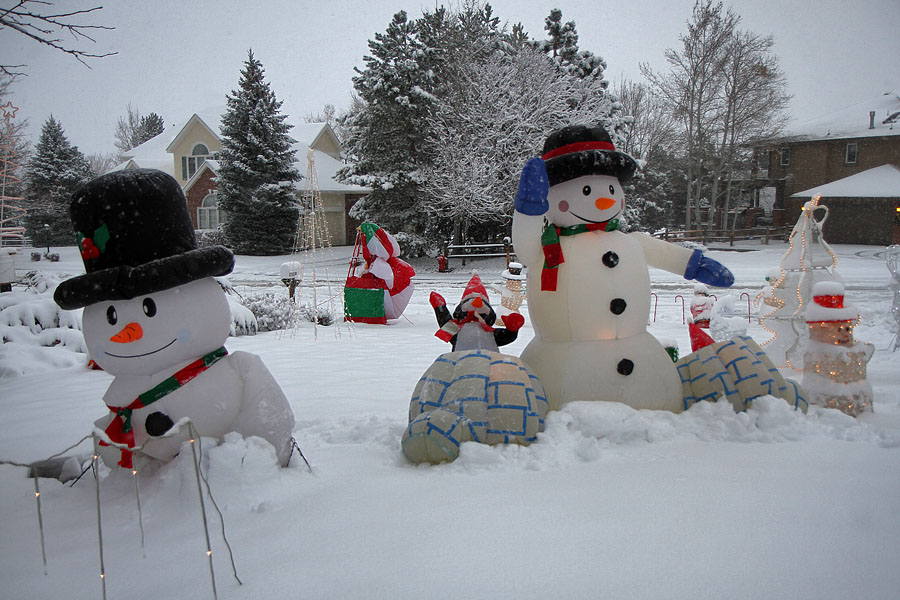 christmas reindeer family