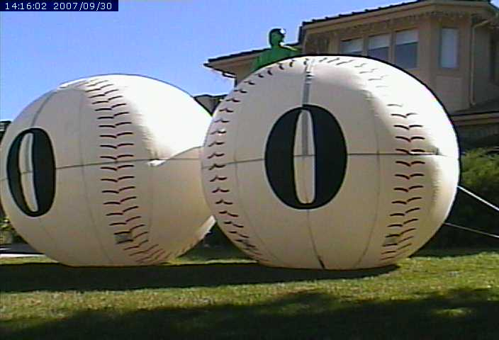 biggest balls webcam2