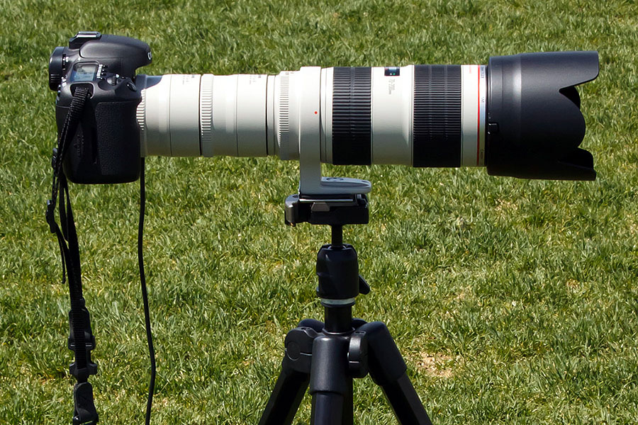 SHOOT OUT: Canon 70-200/F2.8IS2 with 2x teleconverter - two of 'em! SHOOT OUT: Canon 70-200/F2.8IS2 with 2x teleconverter - two of 'em!