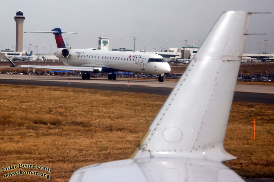 travel to churchill manitoba for polar bears 6