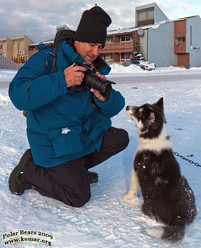 churchill dog sledding s1