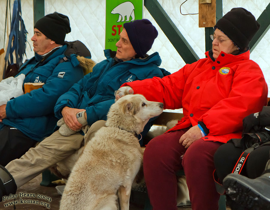 churchill dog sledding s9