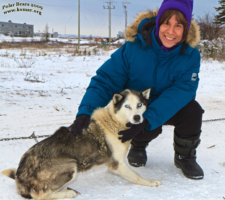 churchill dog sledding linda