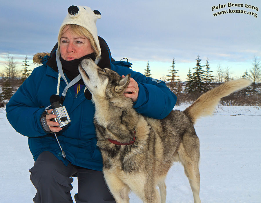 Dog Sledding in Churchill, Canada - a BLAST!