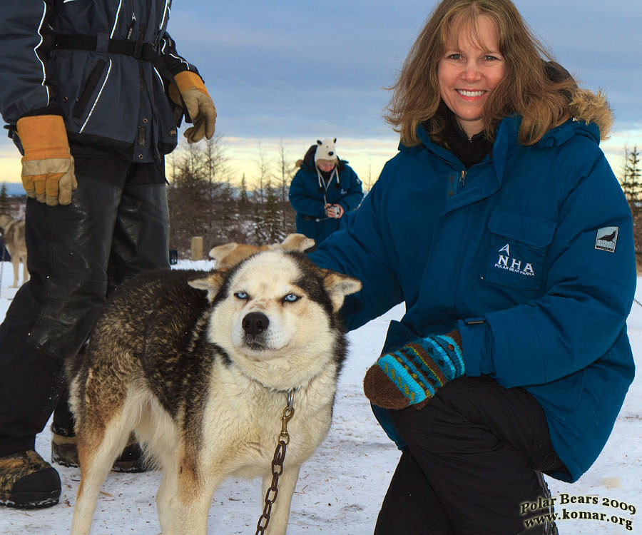 churchill dog sledding t4