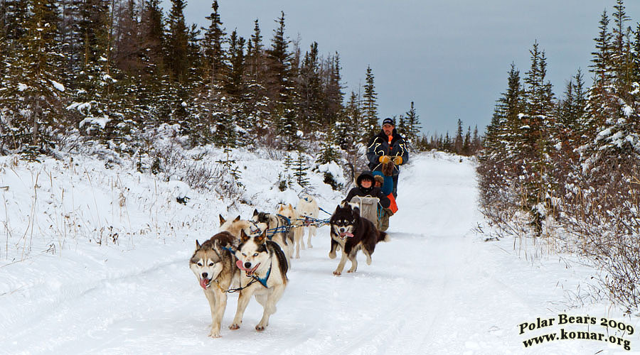 churchill dog sledding v4