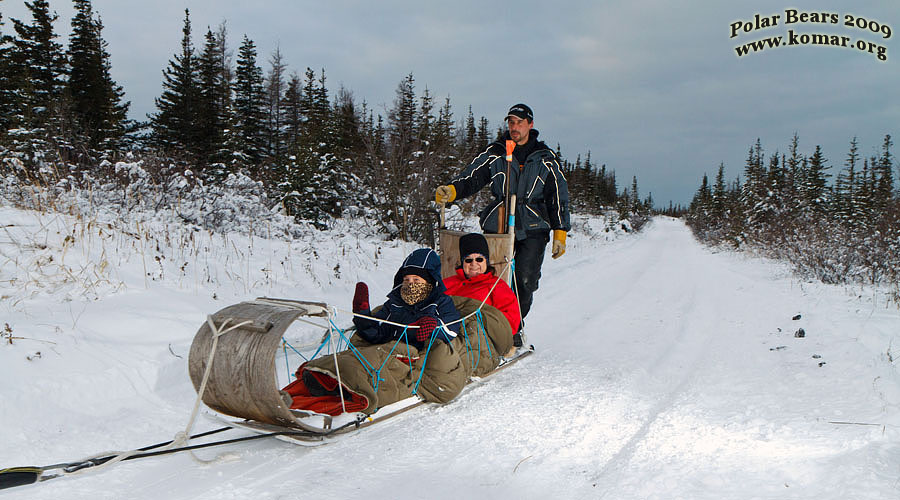 churchill dog sledding t9