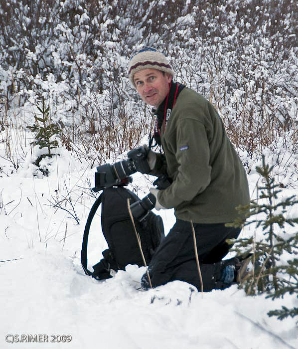 churchill dog sledding a1