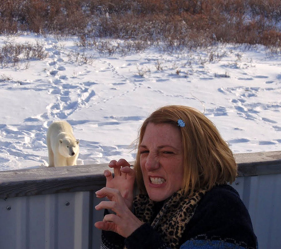 churchill polar bear fighting danielle