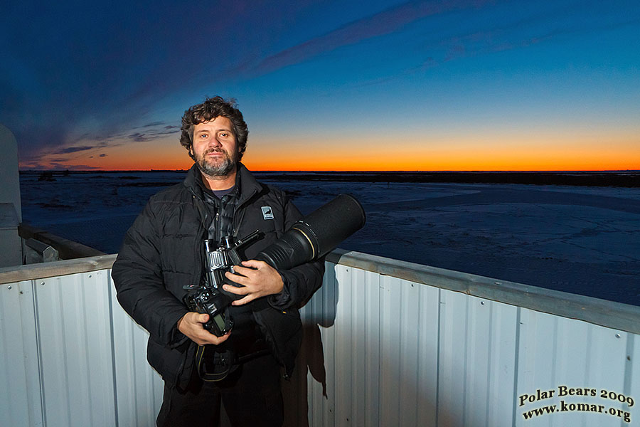 churchill polar bear guides rinie mouseover