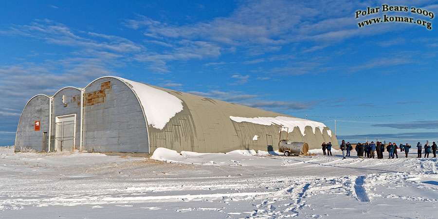 churchill polar bear jail bus