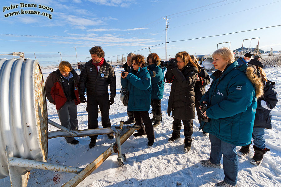 churchill polar bear jail c7