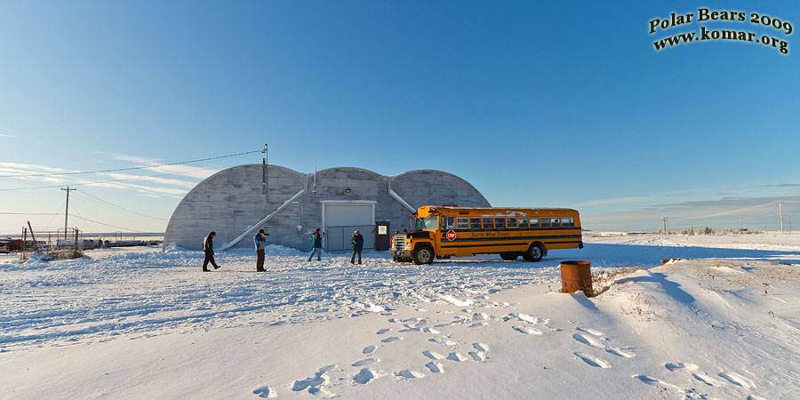 churchill canada polar bear jail