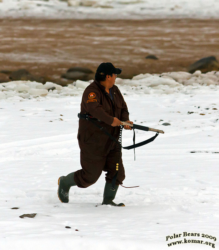 churchill canada polar bear jail officer