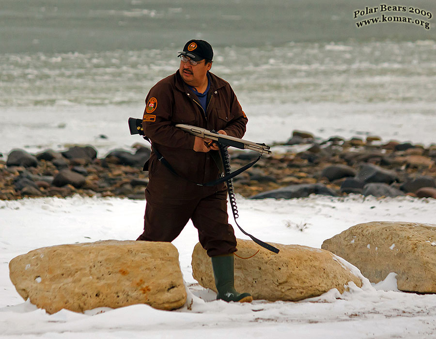 churchill polar bear jail d6