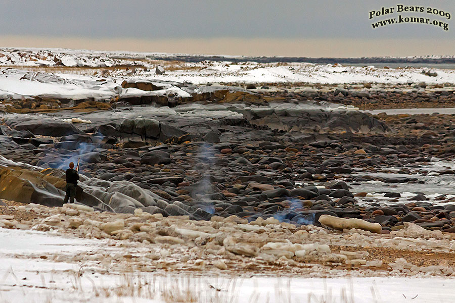 churchill polar bear jail d4