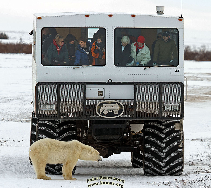 churchill polar rover y7