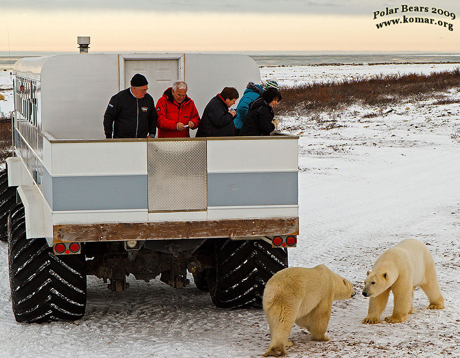 churchill polar rover x3